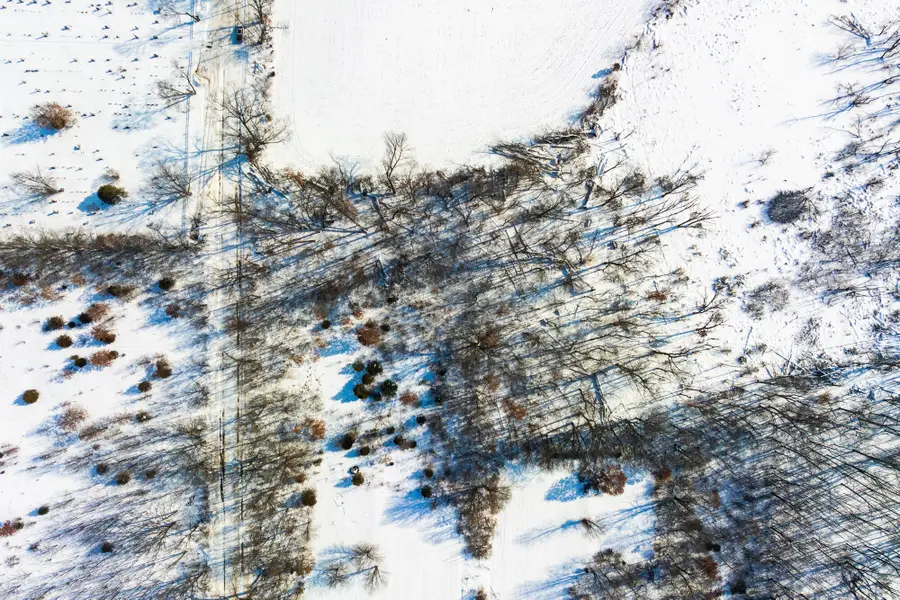 VL Cemetery Street, Cassopolis, MI 49031 - #2