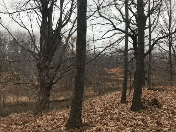 12923 Riverview Drive, Gowen, MI 49326