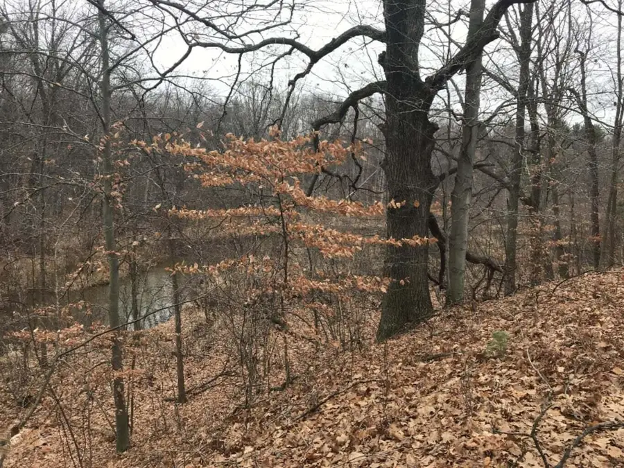 12923 Riverview Drive, Gowen, MI 49326 - #3