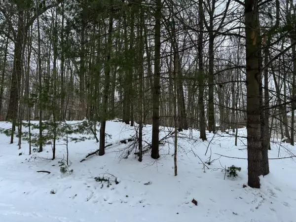 10953 Shawnee Trail, Stanwood, MI 49346