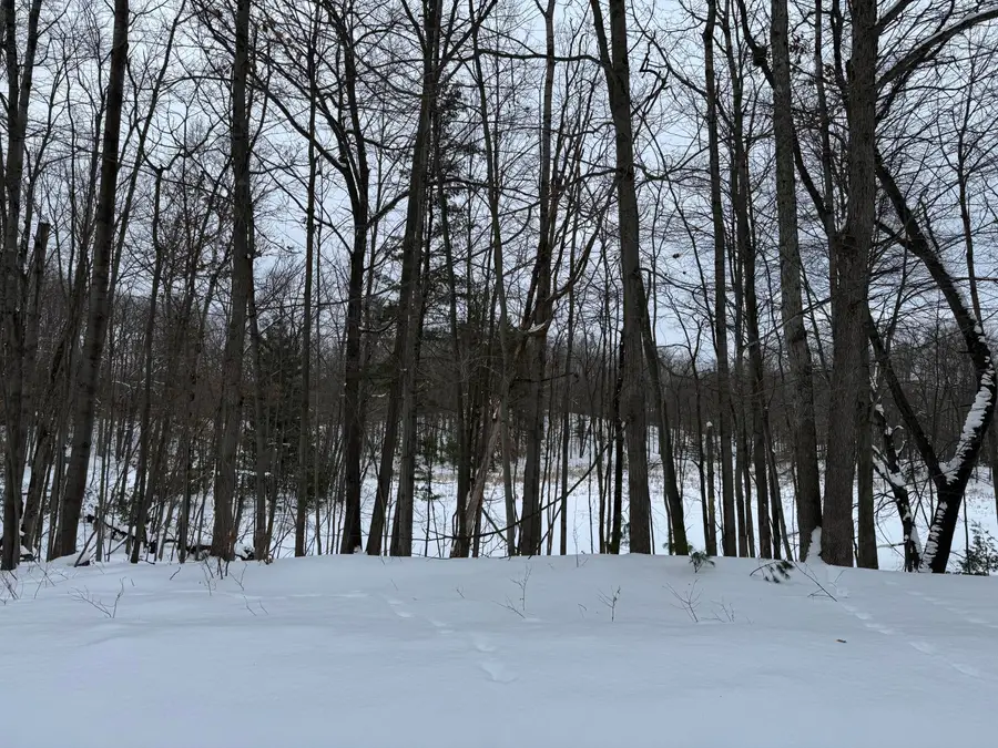 10953 Shawnee Trail, Stanwood, MI 49346 - #2