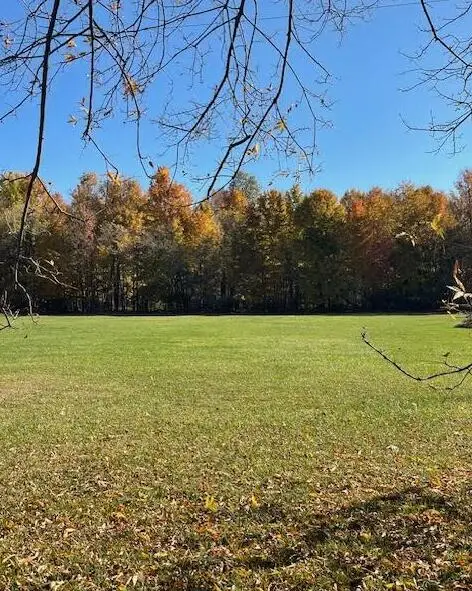 V/L Cr 215, Lawrence, MI 49064 - #1