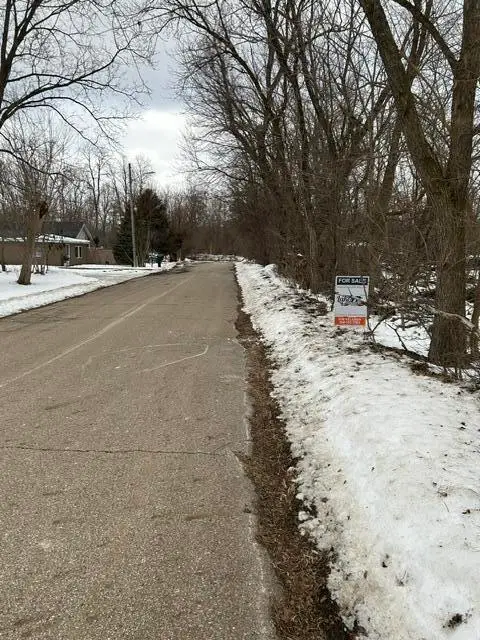 250 N 16th Street N, Springfield, MI 49037 - #2