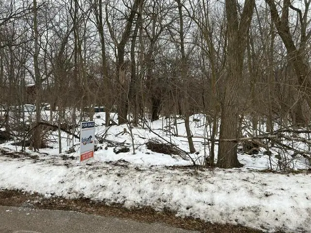 250 N 16th Street N, Springfield, MI 49037 - #3