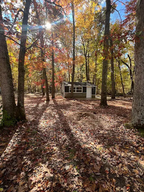 17323 Marian Street, Wellston, MI 49689 - #1