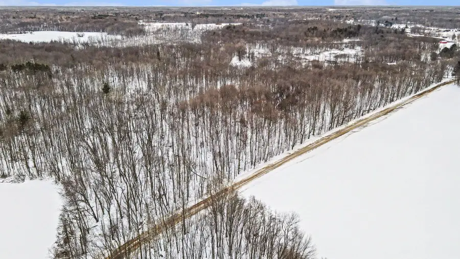 V/L 39th Street, Allegan, MI 49010 - #2