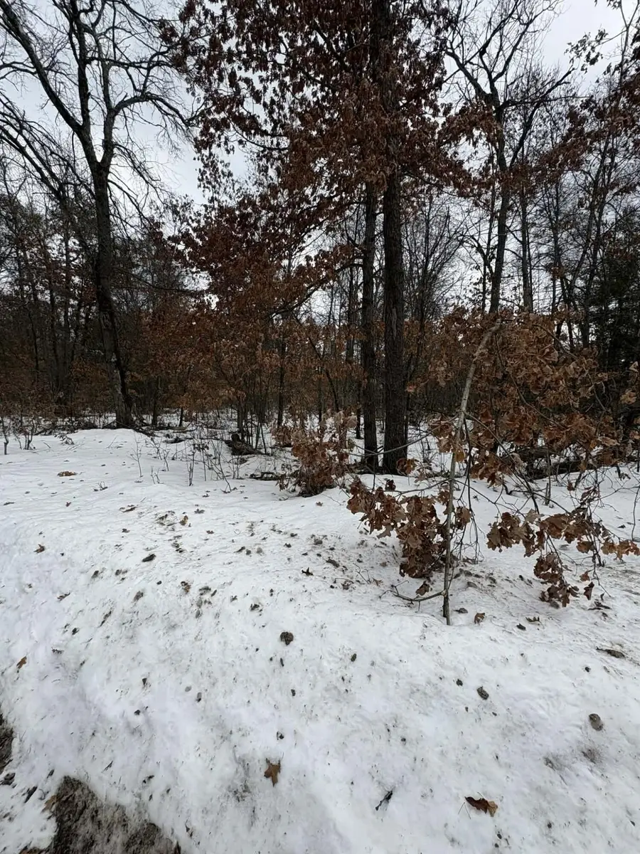 V/L E Lynndon Street, Idlewild, MI 49642 - #3