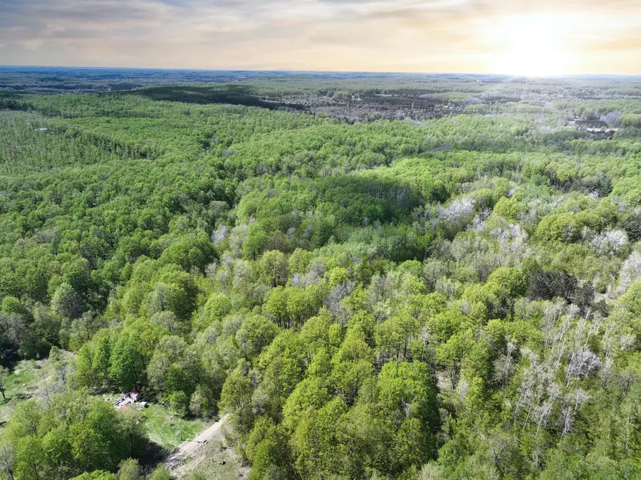 VL N Partridge Lane, Mancelona, MI 49659 - #2