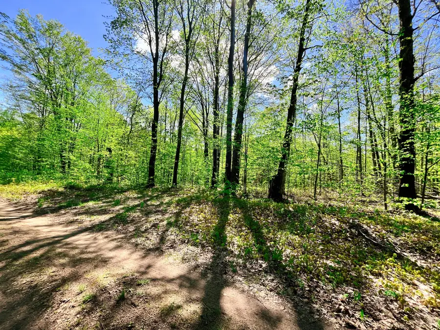 VL N Partridge Lane, Mancelona, MI 49659 - #3