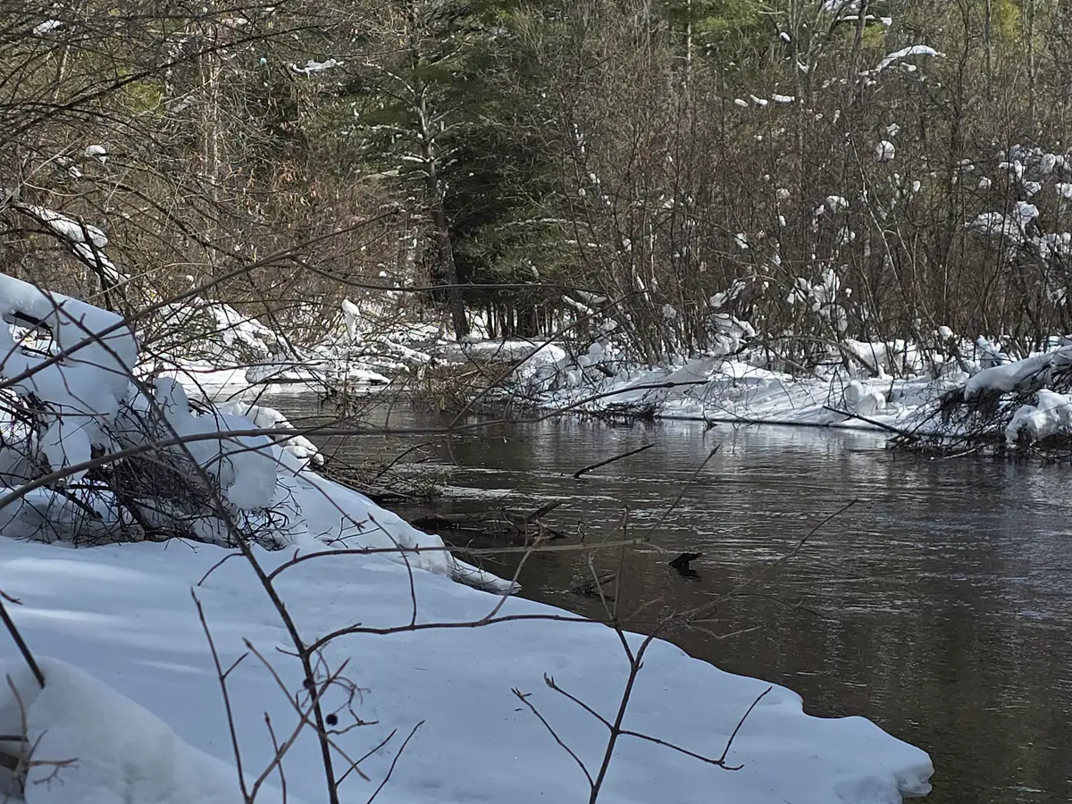 8683 W Peterson Road, Irons, MI 49644 - #1