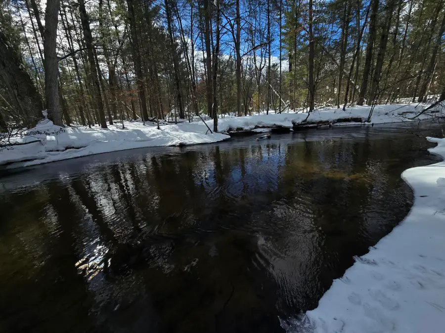 8683 W Peterson Road, Irons, MI 49644 - #2