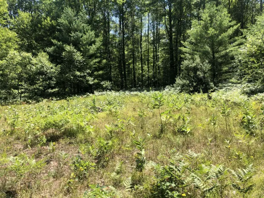 4682 N Evergreen Drive, White Cloud, MI 49349 - #3