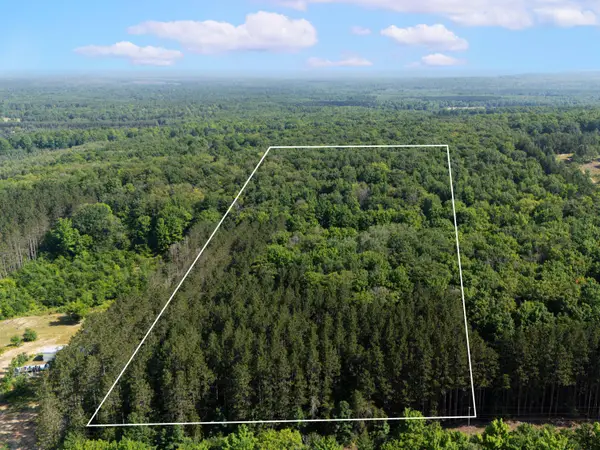 VL W Phelps Road, Manton, MI 49663