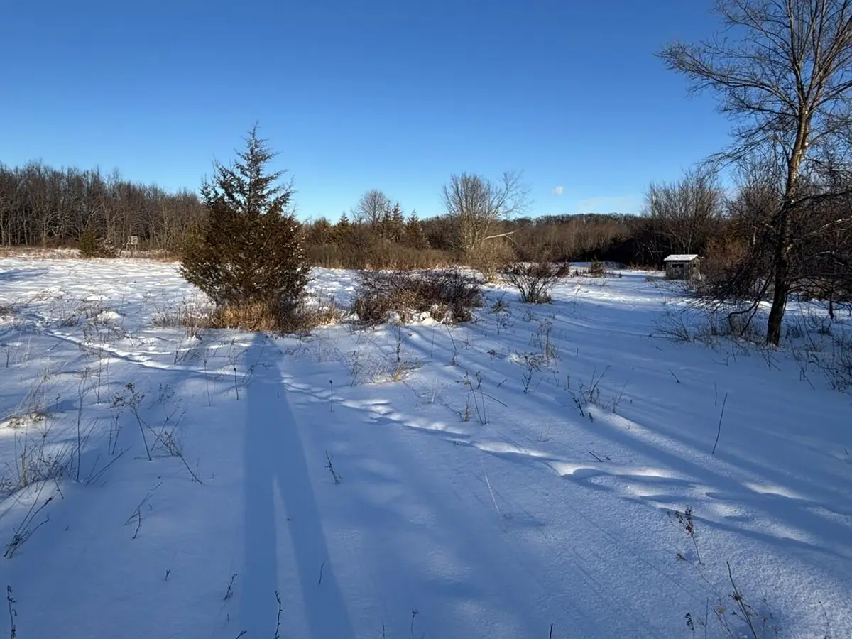 6711 S Tripp Road, Osseo, MI 49266 - #1