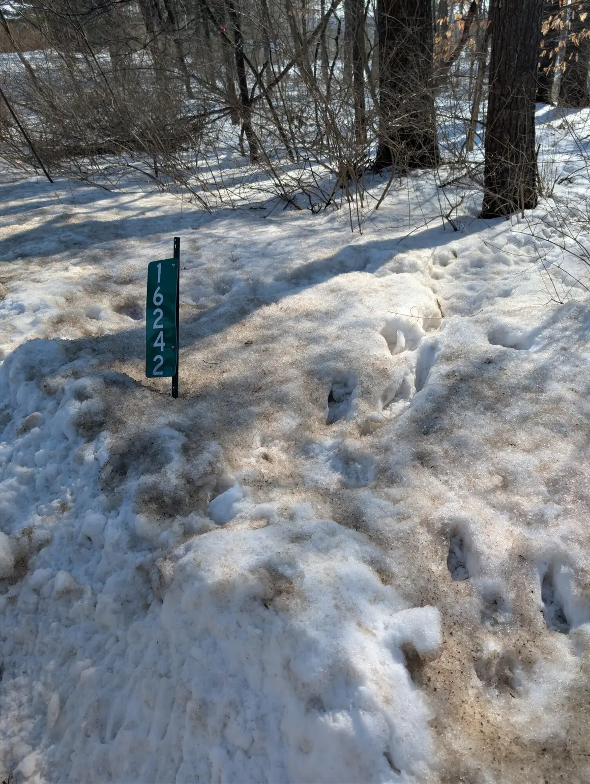 16242 Lake Michigan Drive, West Olive, MI 49460 - #1