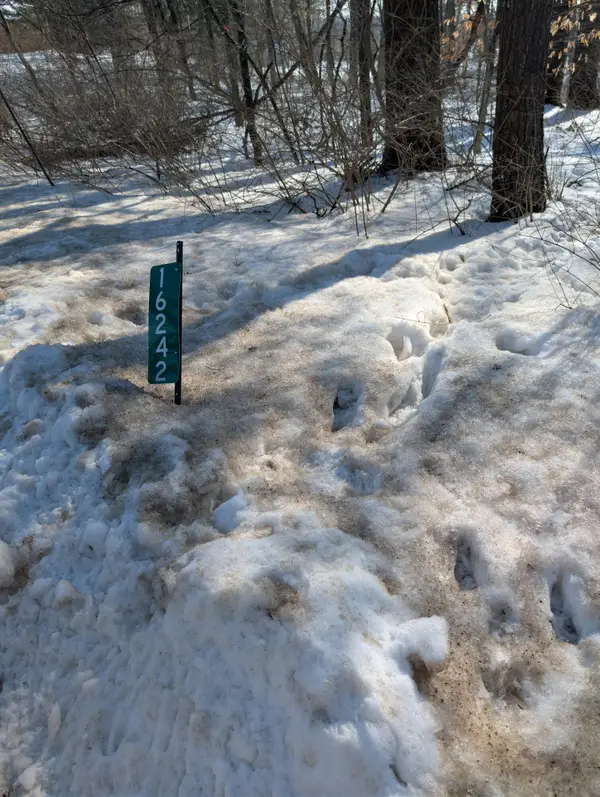 16242 Lake Michigan Drive, West Olive, MI 49460