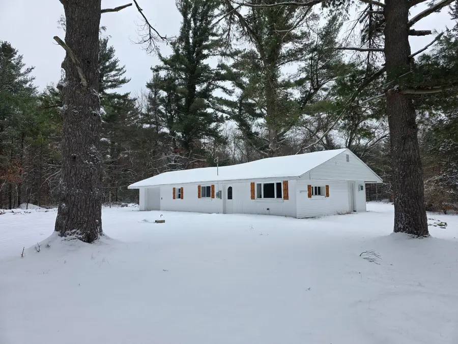 3696 S Locust Avenue, Newaygo, MI 49337 - #2