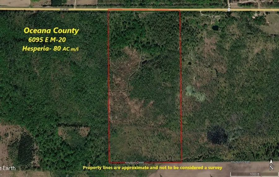 6095 E M 20, Hesperia, MI 49421 - #2