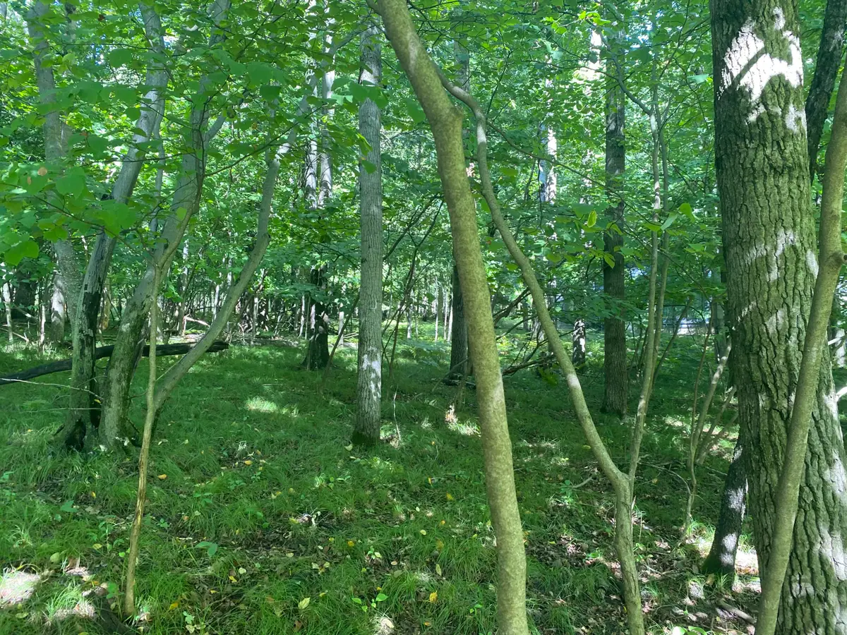 12100 Belle Isle Drive #369, Canadian Lakes, MI 49346 - #1