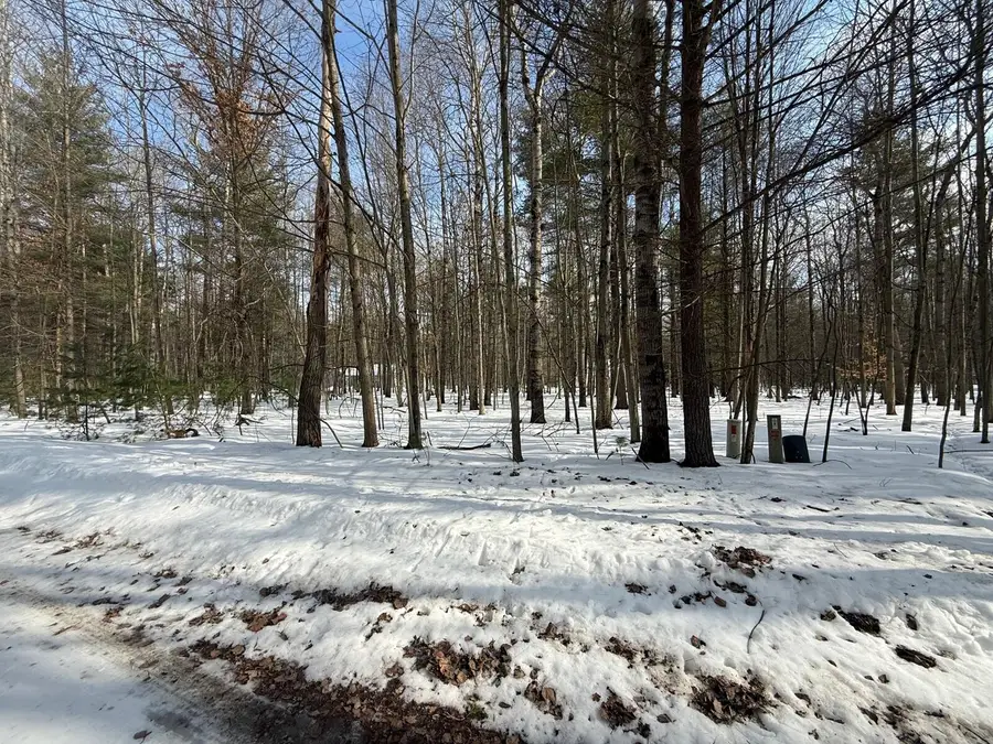 6804 Maple Court, Canadian Lakes, MI 49346 - #2