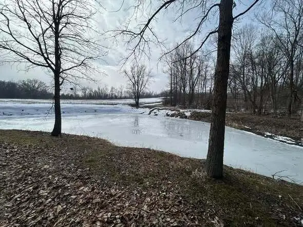 5018 S Rumsey Road, Pittsford, MI 49271 - #2