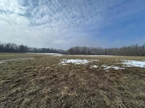 5018 S Rumsey Road, Pittsford, MI 49271 - #3