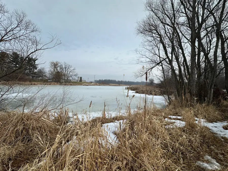 7231 Onsted Highway, Onsted, MI 49265 - #2