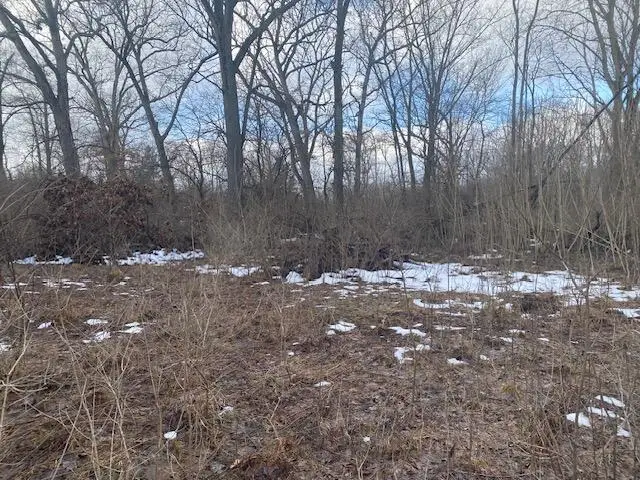 2963 Detroit Road, Niles, MI 49120 - #2