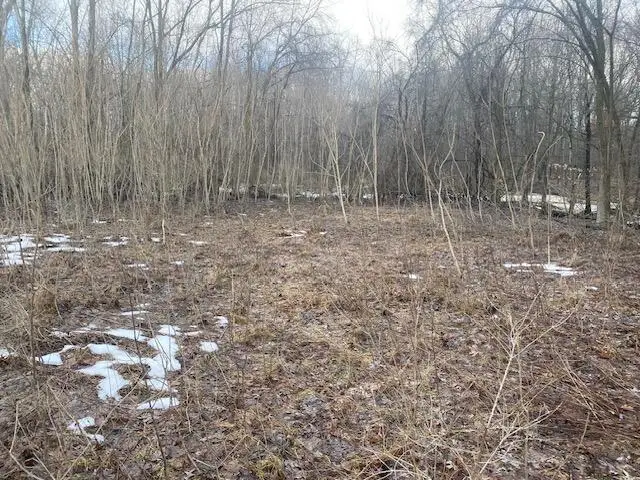 2963 Detroit Road, Niles, MI 49120 - #3