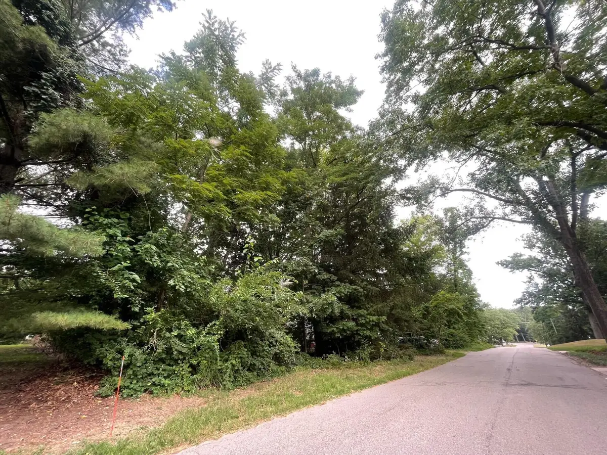 114 S Bronson Street, New Buffalo, MI 49117 - #1