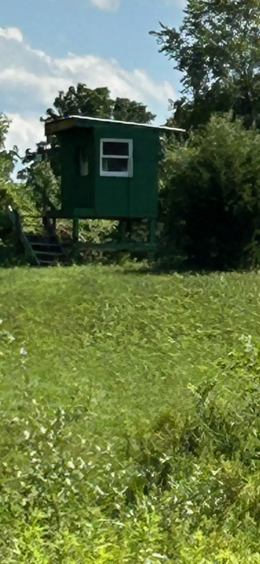 19495 V Drive N, Olivet, MI 49076 - #2