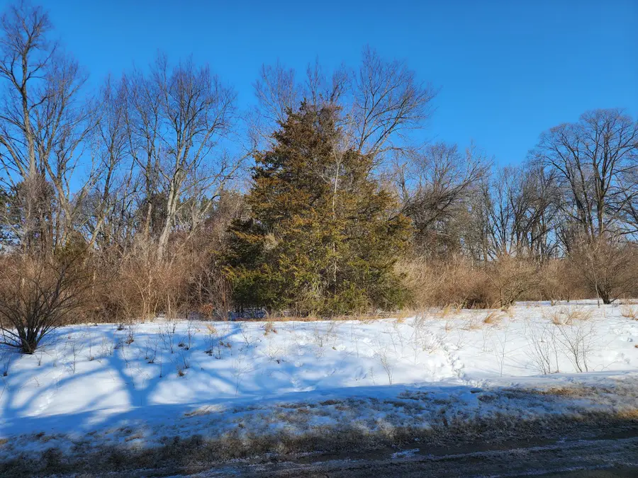 Shorewood Drive #Lot 2, Three Rivers, MI 49093 - #2