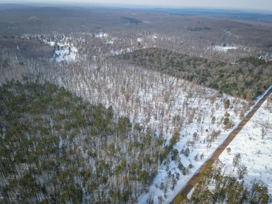 2043 N Peacock Trail, Irons, MI 49644 - #3