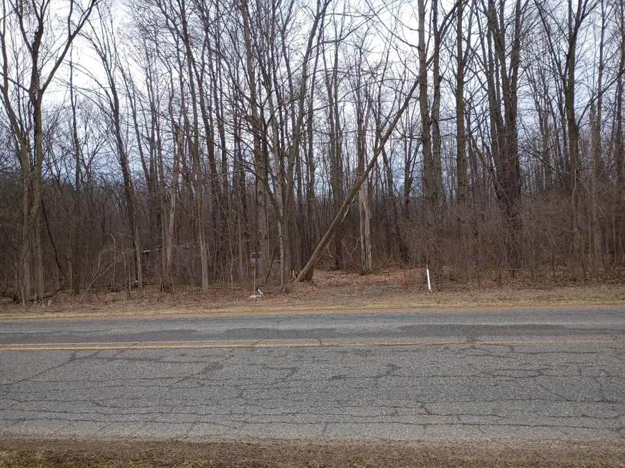 V/L 52nd Street, Bangor, MI 49013 - #2