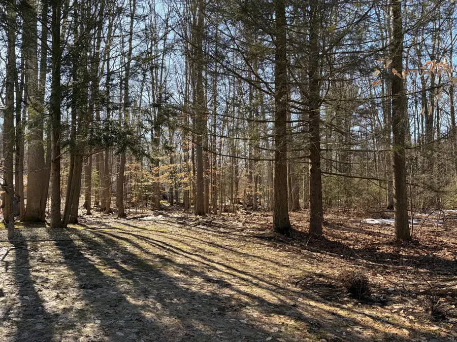 15144 Wintergreen Court, Spring Lake, MI 49456 - #2