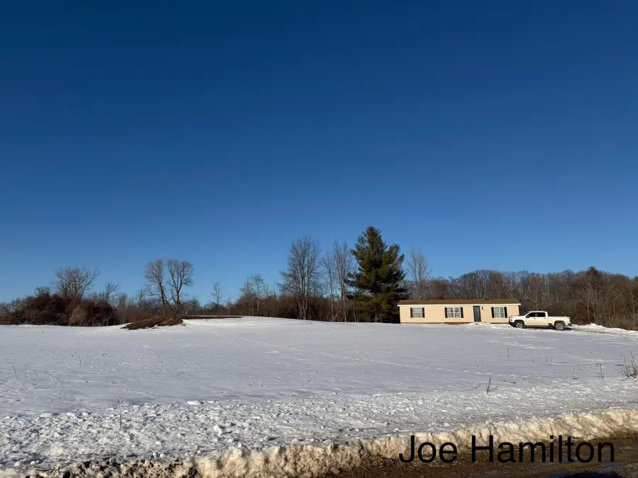 15734 Hall Road, Bailey, MI 49303 - #3