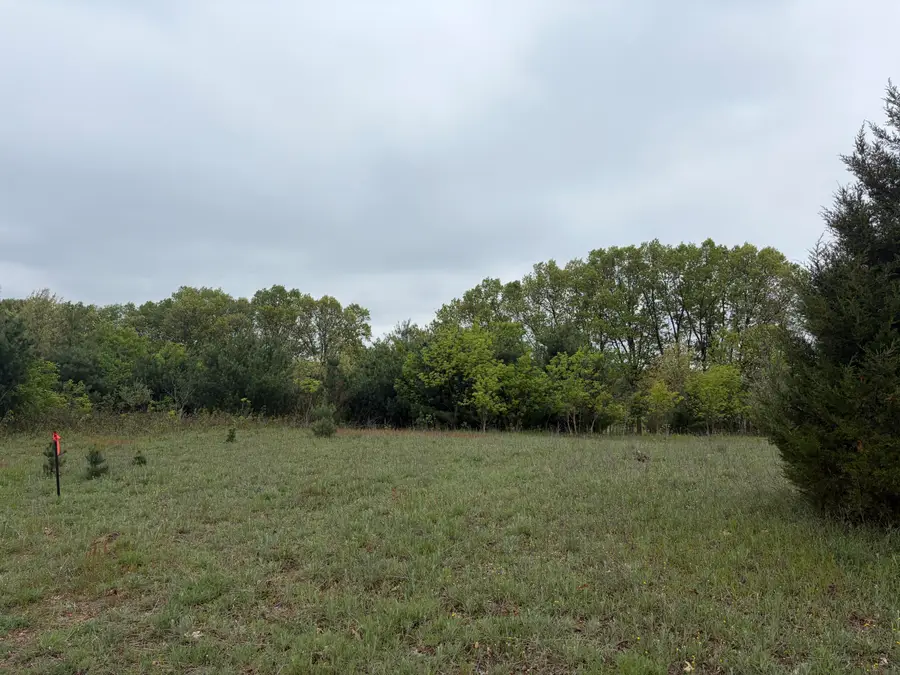 11020 Morgan Mills Avenue Ne, Greenville, MI 48838 - #2