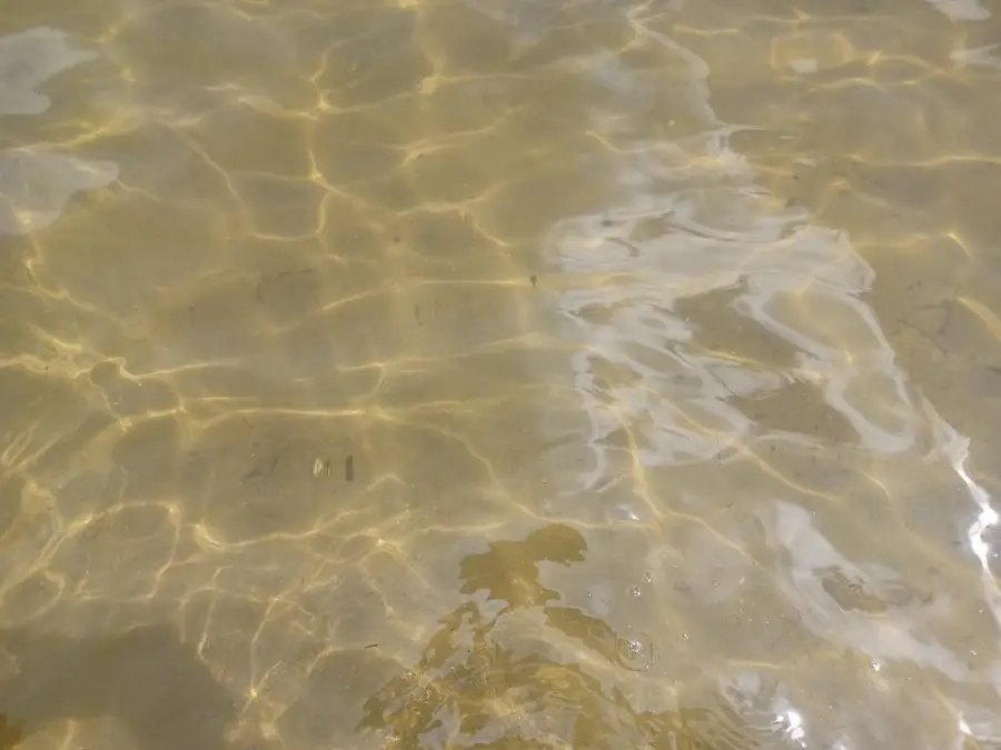 6812 Lake Drive, Hastings, MI 49058 - #2