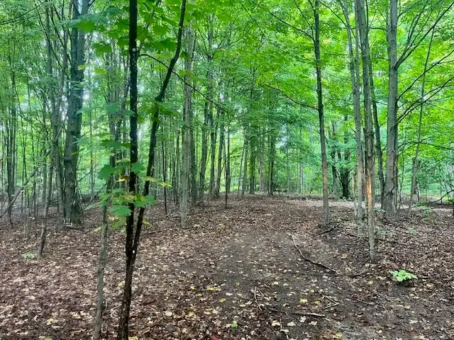 VL55 Nine Mile Road, Kaleva, MI 49645 - #3