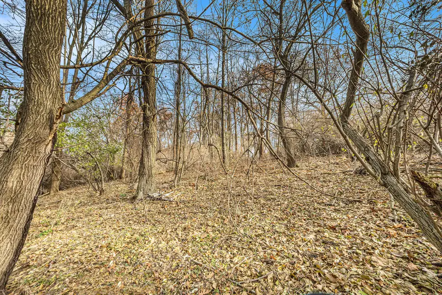 6769 Summerhill Lots C&d Drive Se, Alto, MI 49302 - #3