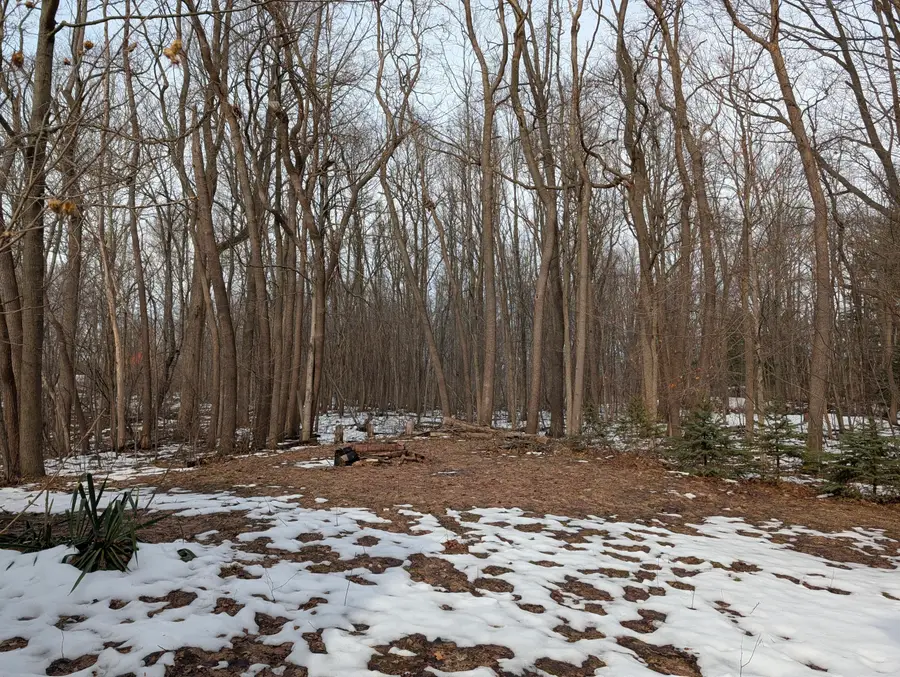 35516 Sweet Lake Drive, Gobles, MI 49055 - #3