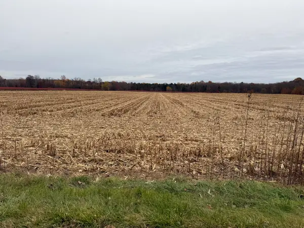 VL 2ac. County Road 687 #Division 1, Bangor, MI 49013