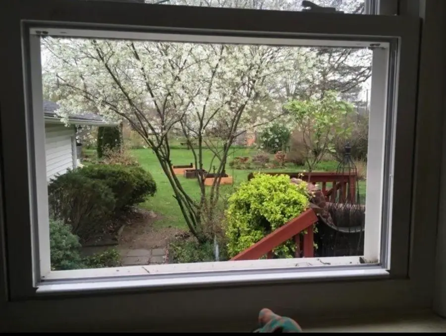 10040 Endicott Street, Belleville, MI 48111 - #2