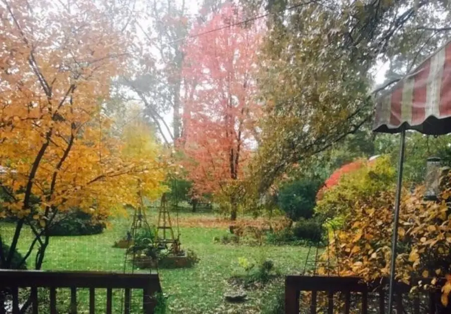 10040 Endicott Street, Belleville, MI 48111 - #3