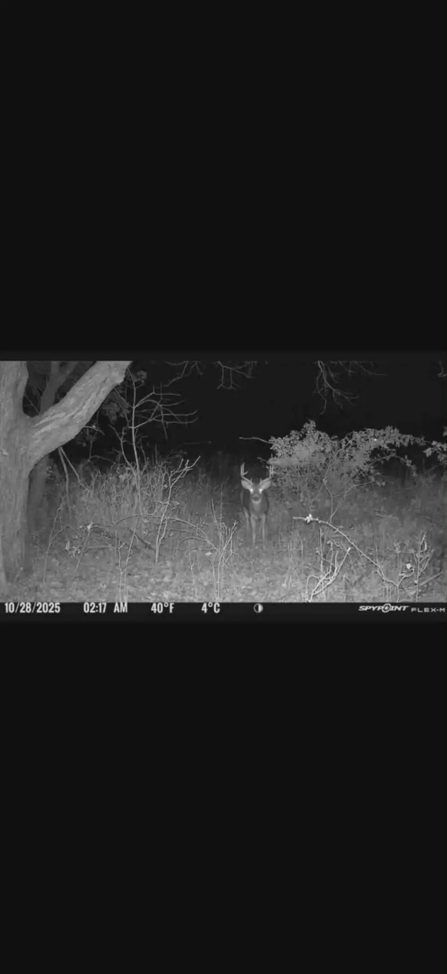 0 Springport Road, Springport, MI 49284 - #3