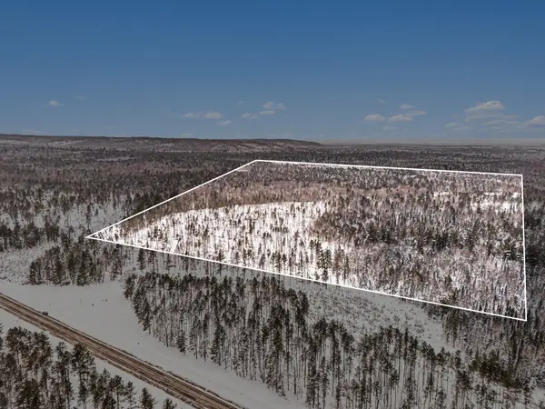 0 VL N Pioneer Rd, Lake City, MI 49651