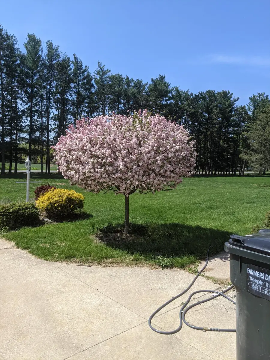 4089 30th Street, Dorr, MI 49323 - #3