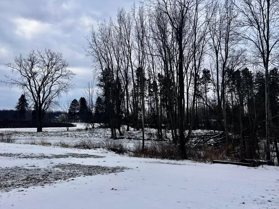 0000 102nd Ave Avenue, South Haven, MI 49090 - #2