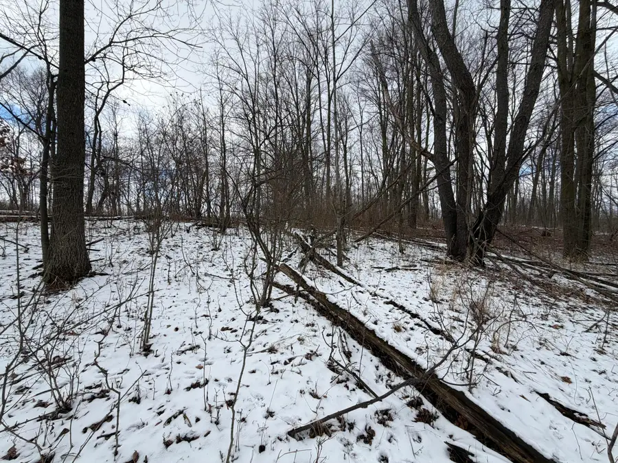 LOT 65 Hosford Drive, Ionia, MI 48846 - #3