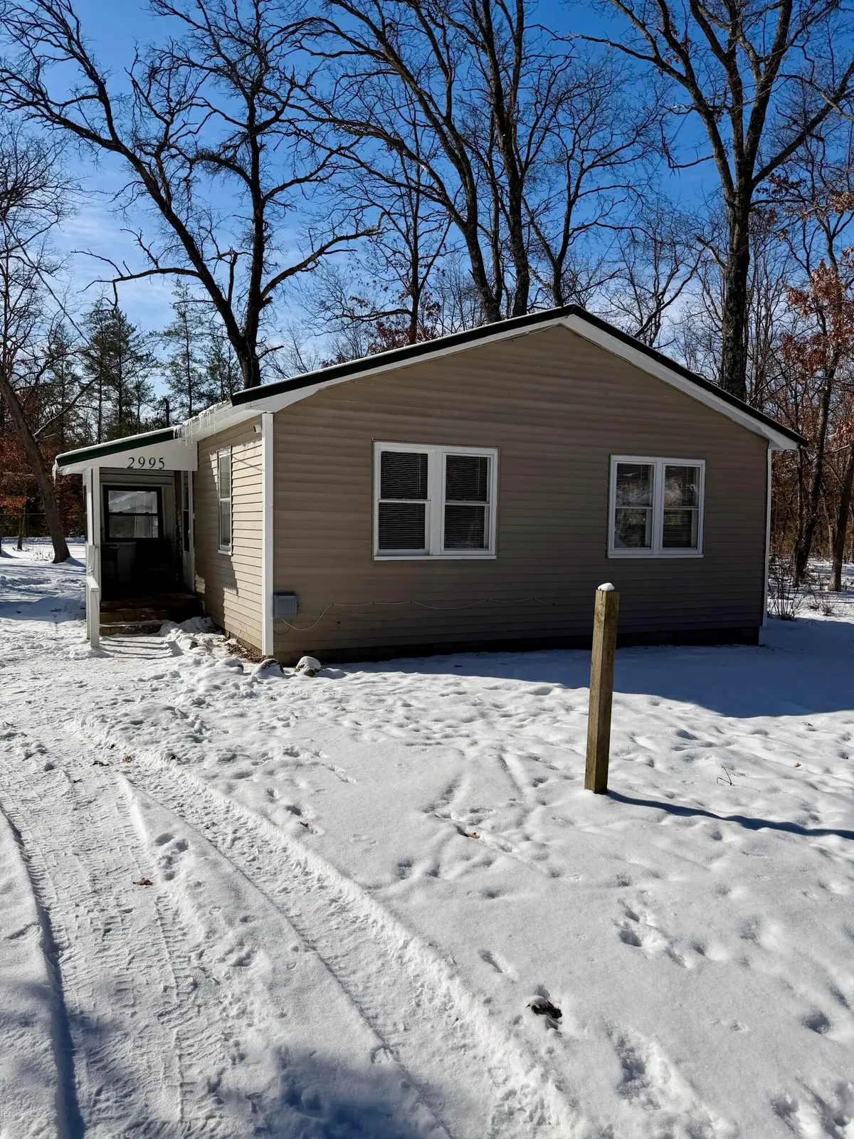 2995 W Byron Street, Baldwin, MI 49304 - #1